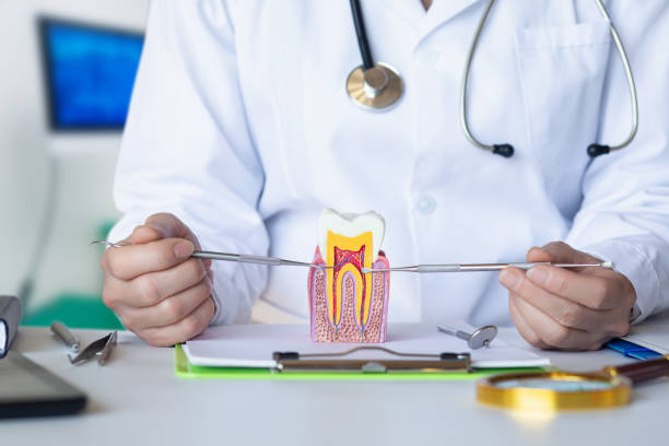 Best Emergency Dentist for Lost Fillings or Crowns in Pis, AR